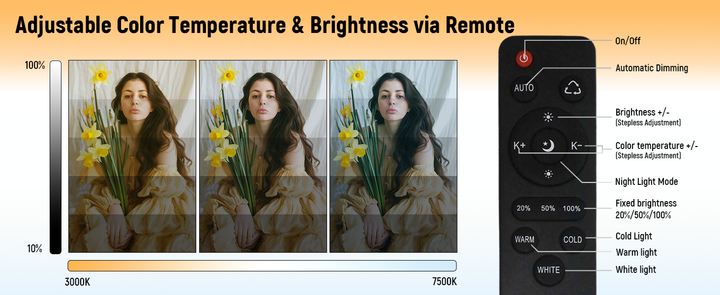 softbox lighting kit