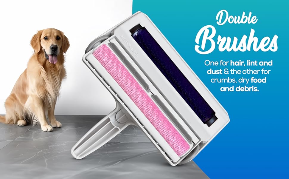 dogs brush