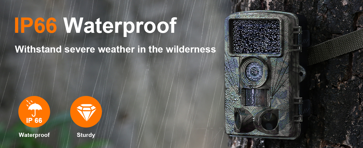 wildlife camera