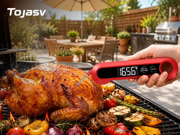 oven thermometer