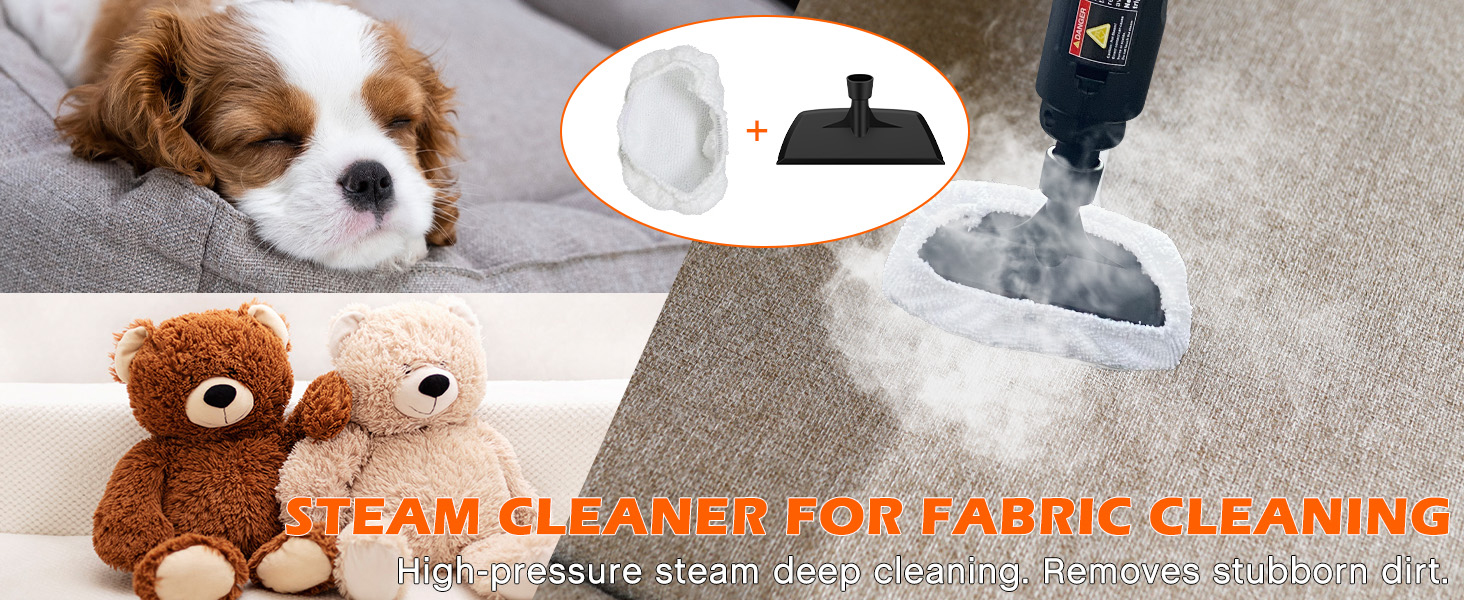 steam cleaner