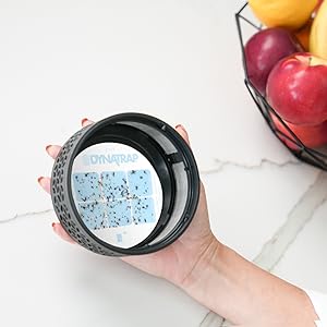 DynaTrap Indoor Insect Trap gives you results you can see