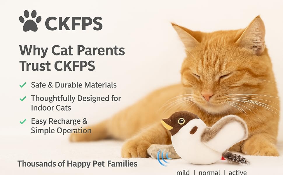 bird toy for cats