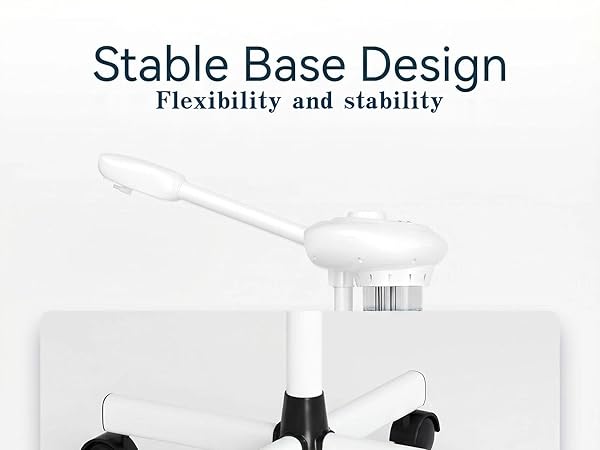 steamer for face