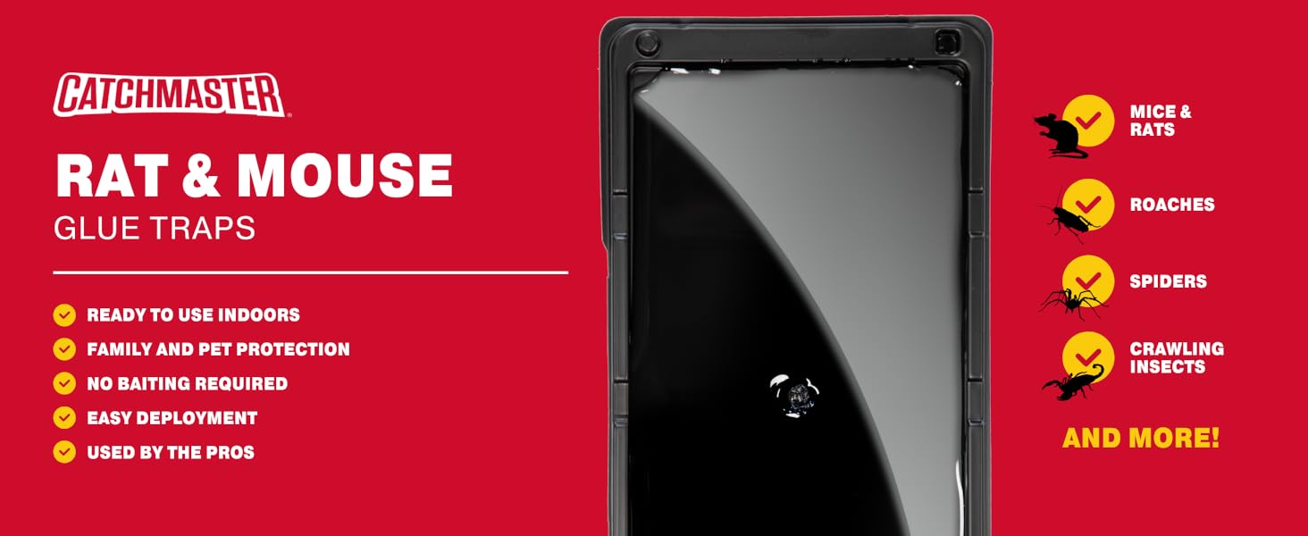 rat mouse baited glue trap