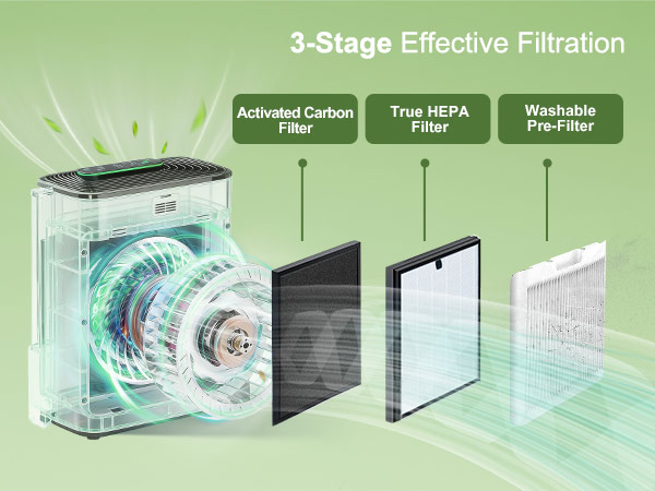 air purifier