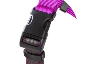 dog harness