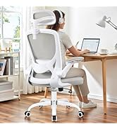 BESTFAIR Office Chair Ergonomic Desk Chair, Breathable Mesh Office Chairs with Adjustable Lumbar ...