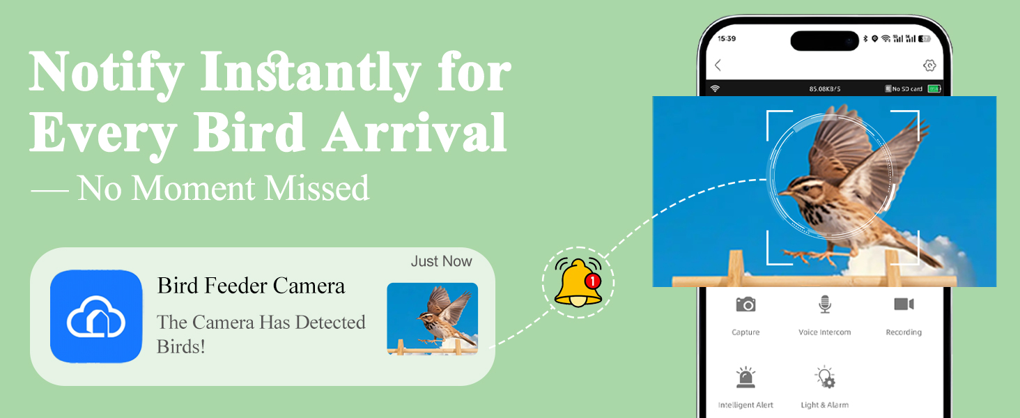 bird feeder camera wireless outdoor