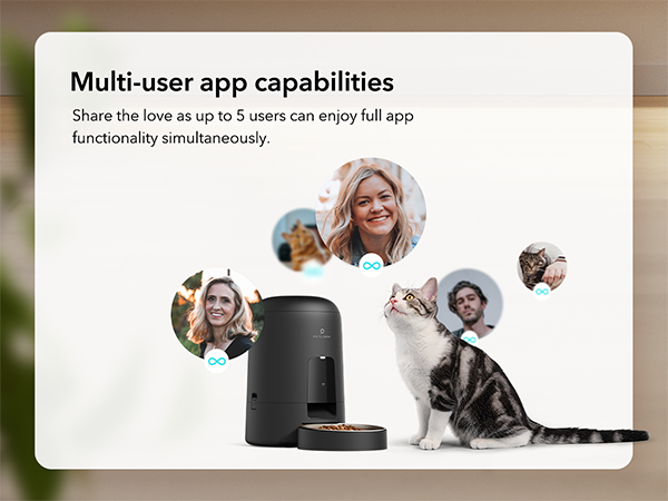 dog feeder automatic