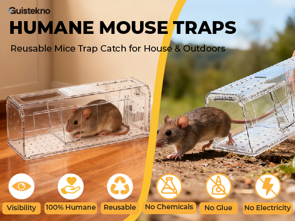 mouse trap humane