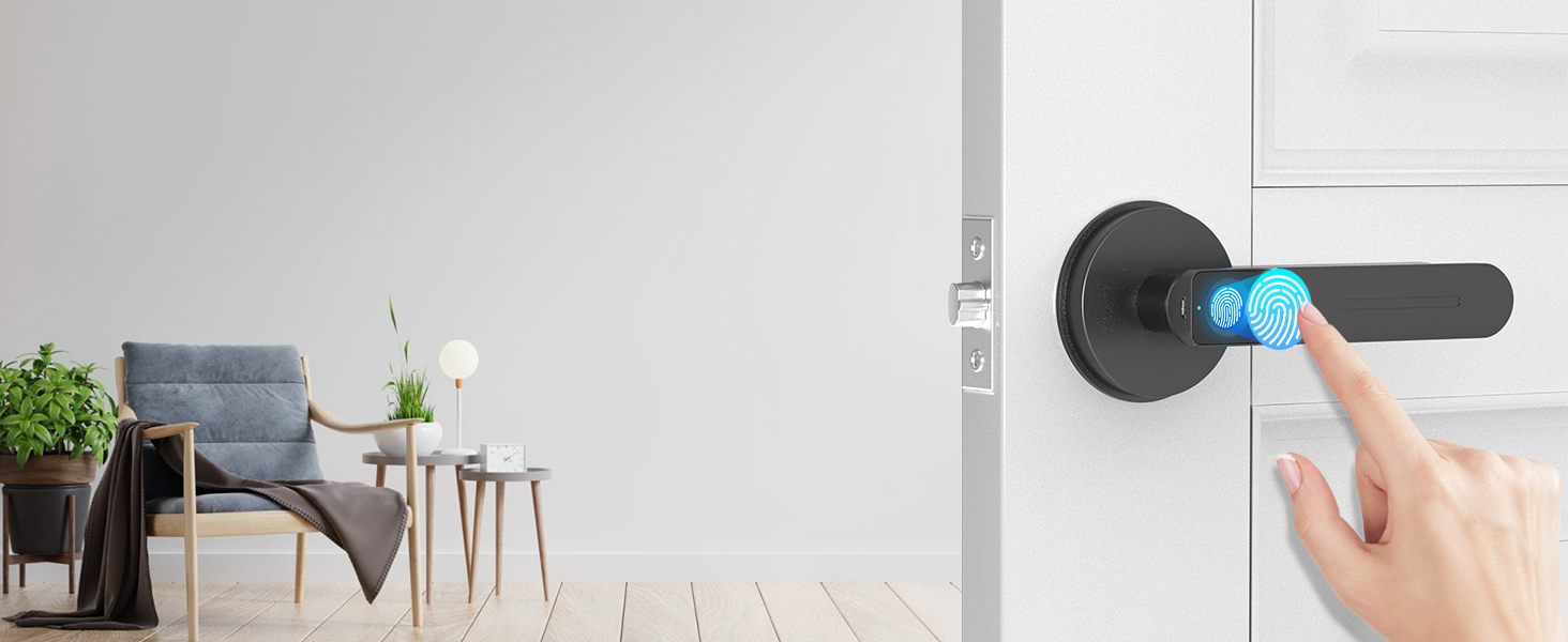 Fingerprint Identification 