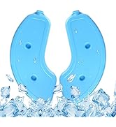 Bsemax 2 Pcs Replacement Ice Packs for Automatic Cat Feeder Wet Food and Automatic Pet Feeder (Pl...