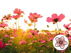 spring meadows scent