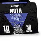 Insect Fly Traps Refills