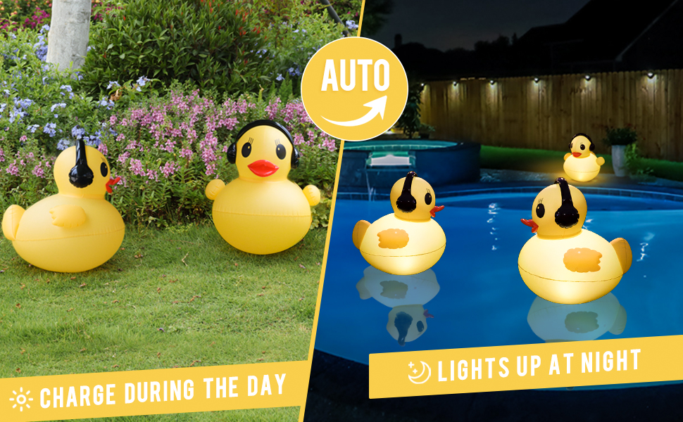 Duck floating pool lights