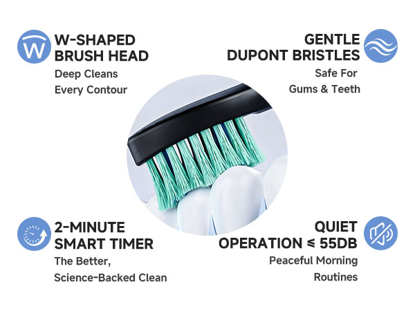 Electric Toothbrush for Adults