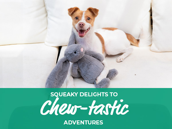 dog toys for small dogs