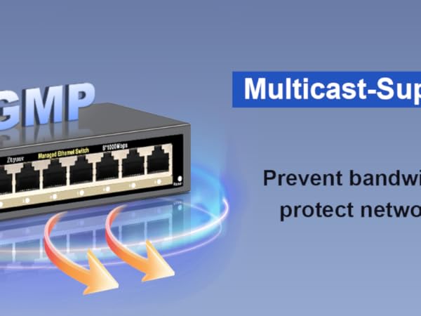 Full Gigabit Easy Web Managed Ethernet Switch