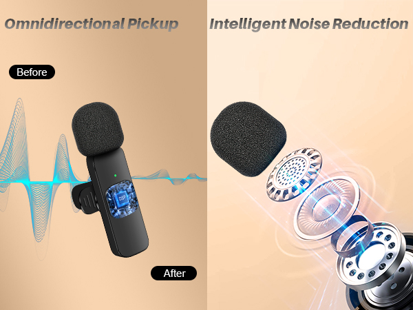 ominidirectional pickup and intelligent noise reduction