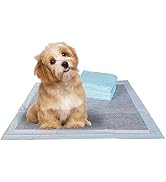 BV Pet Potty Training Pads for Dogs, Puppy Training Pad Pee Pads, 22" x 22", 100-Count, Charcoal ...