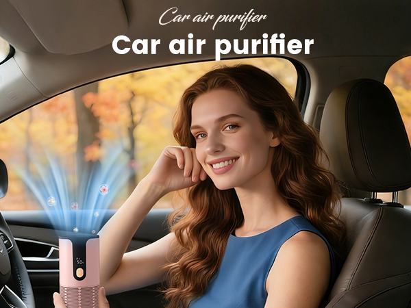 car air purifier