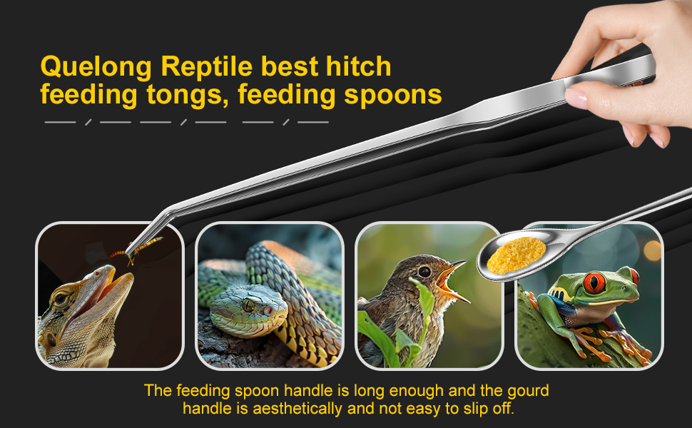 Reptile Feeding Tongs