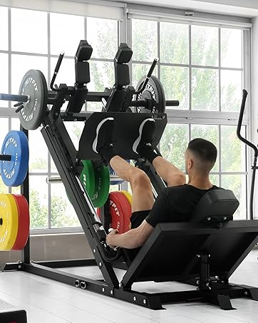https://m.media-amazon.com/images/S/aplus-media-library-service-media/f99b8051-bf7d-41ca-b47d-49c0cfd7df66.__CR132,0,1279,1600_PT0_SX362_V1___.jpg