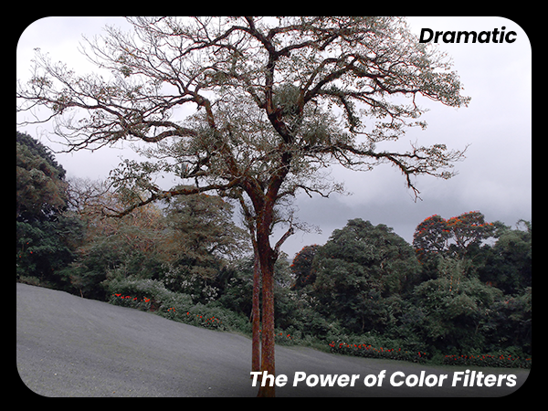 special color modes, Camera with filters for creative photography, intelligent mode, macro mode 