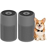 2 Pack CHIVALZ Air Purifiers Dark Gray