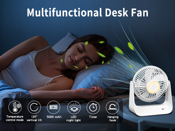 Multifunctional Desk Fan