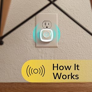 How It Works