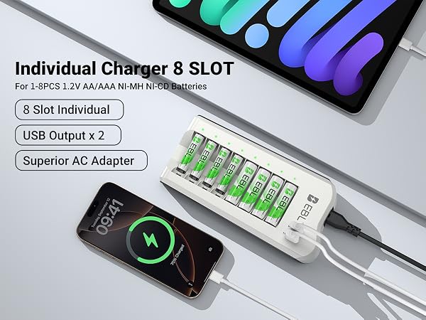 Individual Charger 8 SLOT