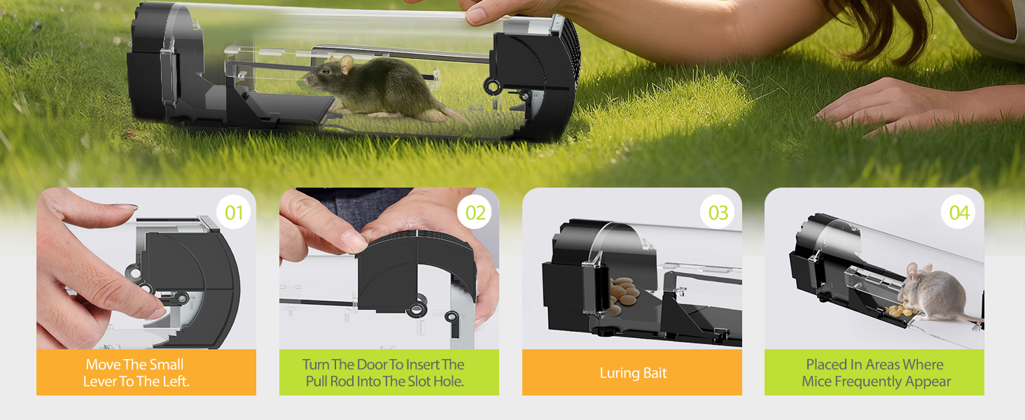 Humane Mouse Traps, 12 inches Enlarged No Kill Rat Live Traps for Chipmunks,