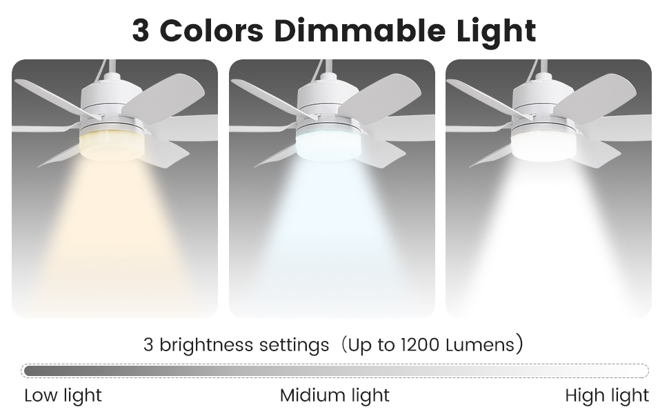 White corded fan