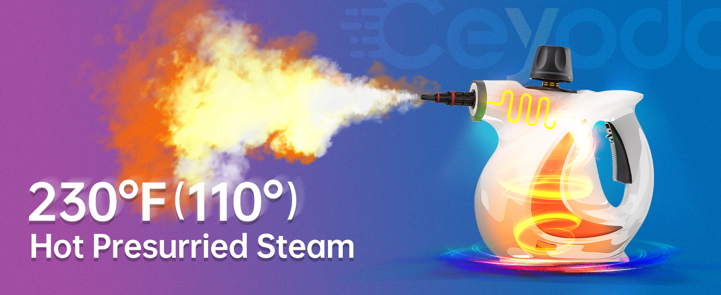 steam cleaner for home