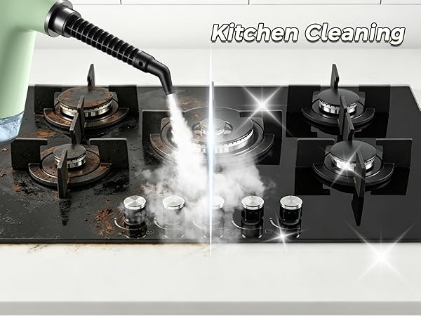car steamer for auto detailing