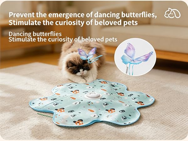 cat toy