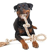 https://m.media-amazon.com/images/I/41GQZ%2BPgcrL.__AC_SR200,225___.jpg