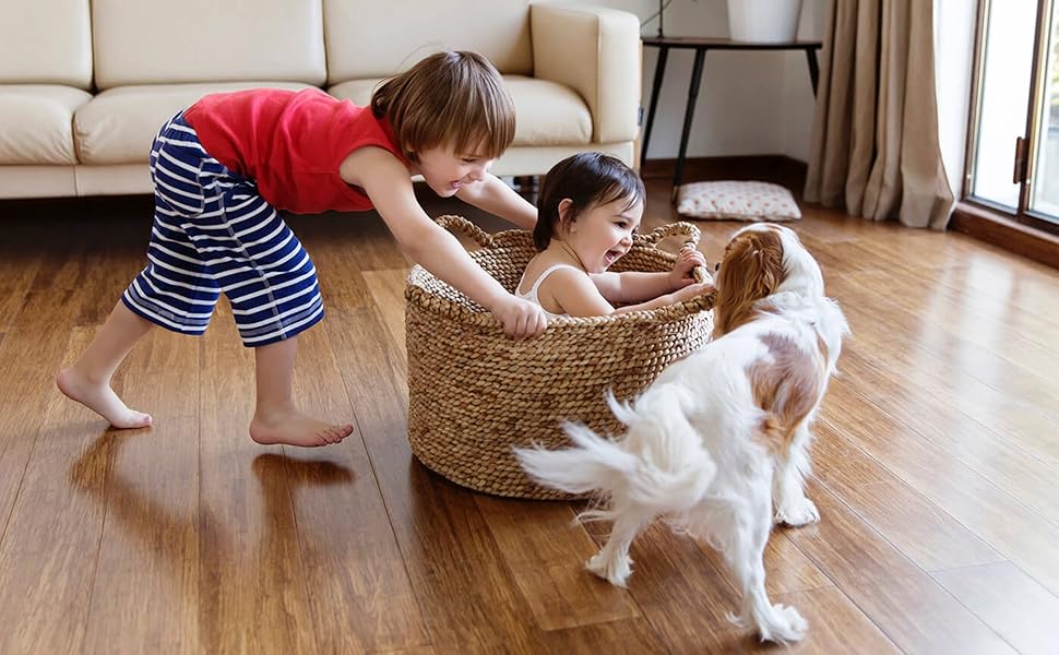 mice repellent indoor