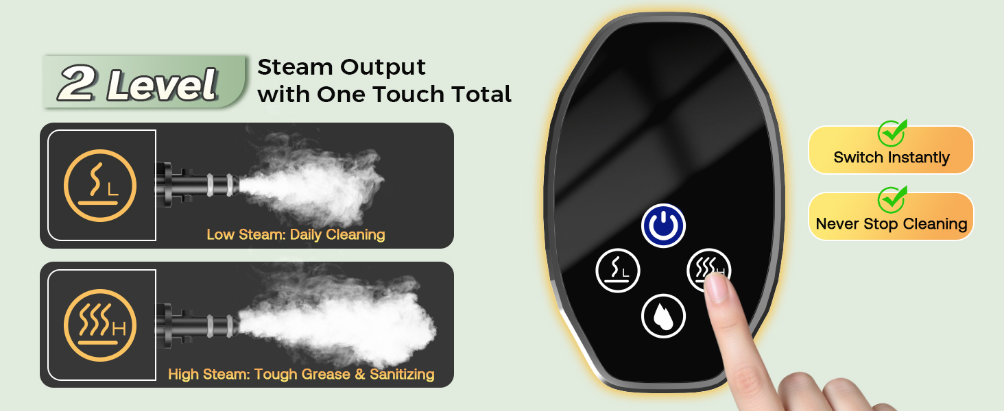 steamer for car detailing