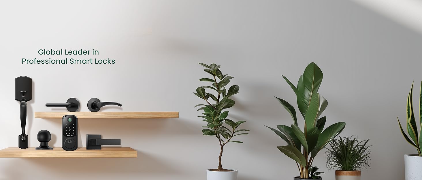 Global Leader in Professional Smart Locks