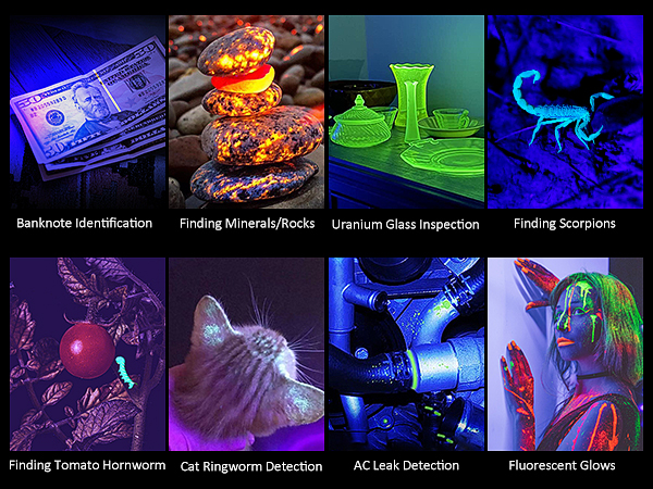 uv flashlight rechargeable 365nm