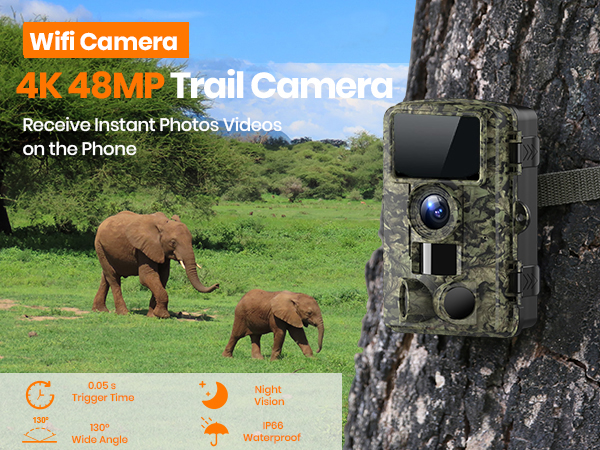 Trail Camera