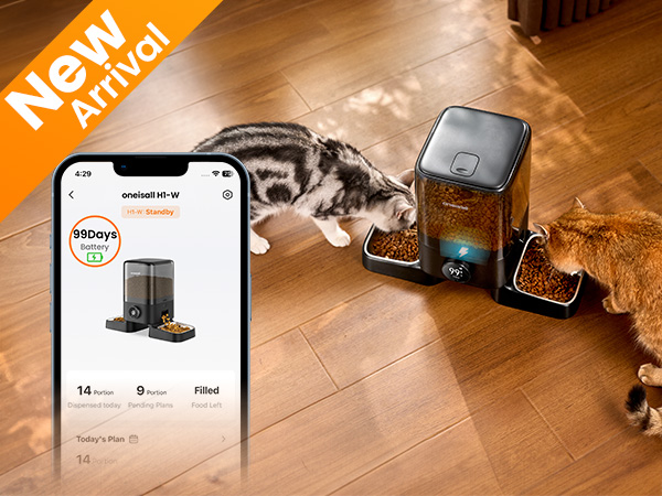 Automatic cat feeder 