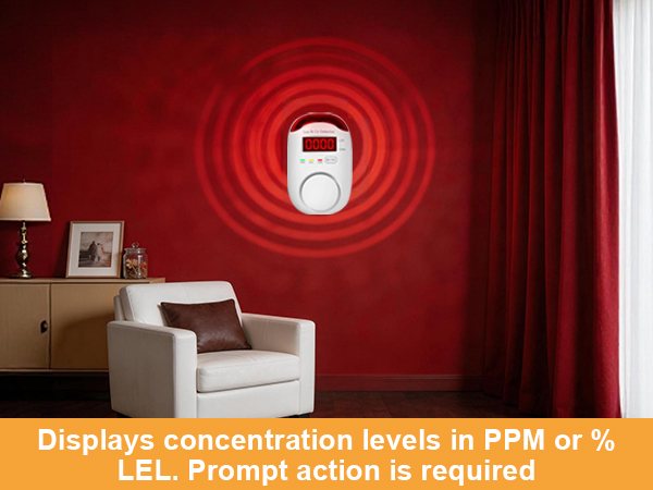 natural gas and carbon monoxide detector