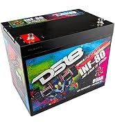 DS18 INF-80AH 2300 Watts AGM Power Cell 12 Volt Battery M6 Bolt Terminal Maintenance Free - High ...