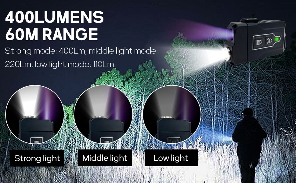 365nm UV Flashlight Black Light