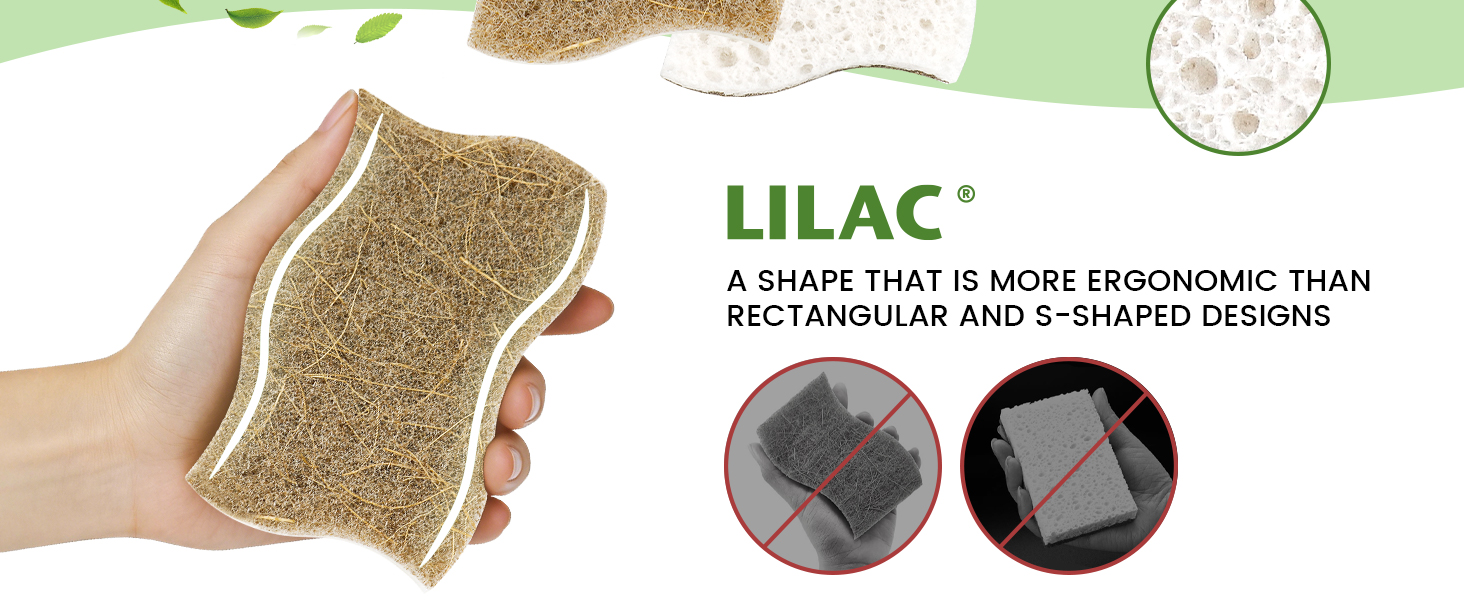kitchen sponge