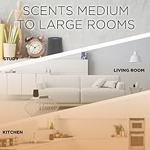 Scents medium to large rooms